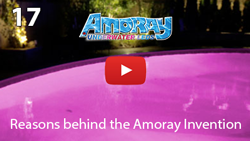 Reasons behind the Amoray Invention Reasons behind the Amoray Invention